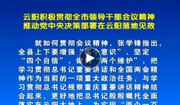 云阳新闻爆料最新消息,最新爆料揭示重大事件进展！